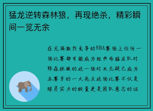猛龙逆转森林狼，再现绝杀，精彩瞬间一览无余